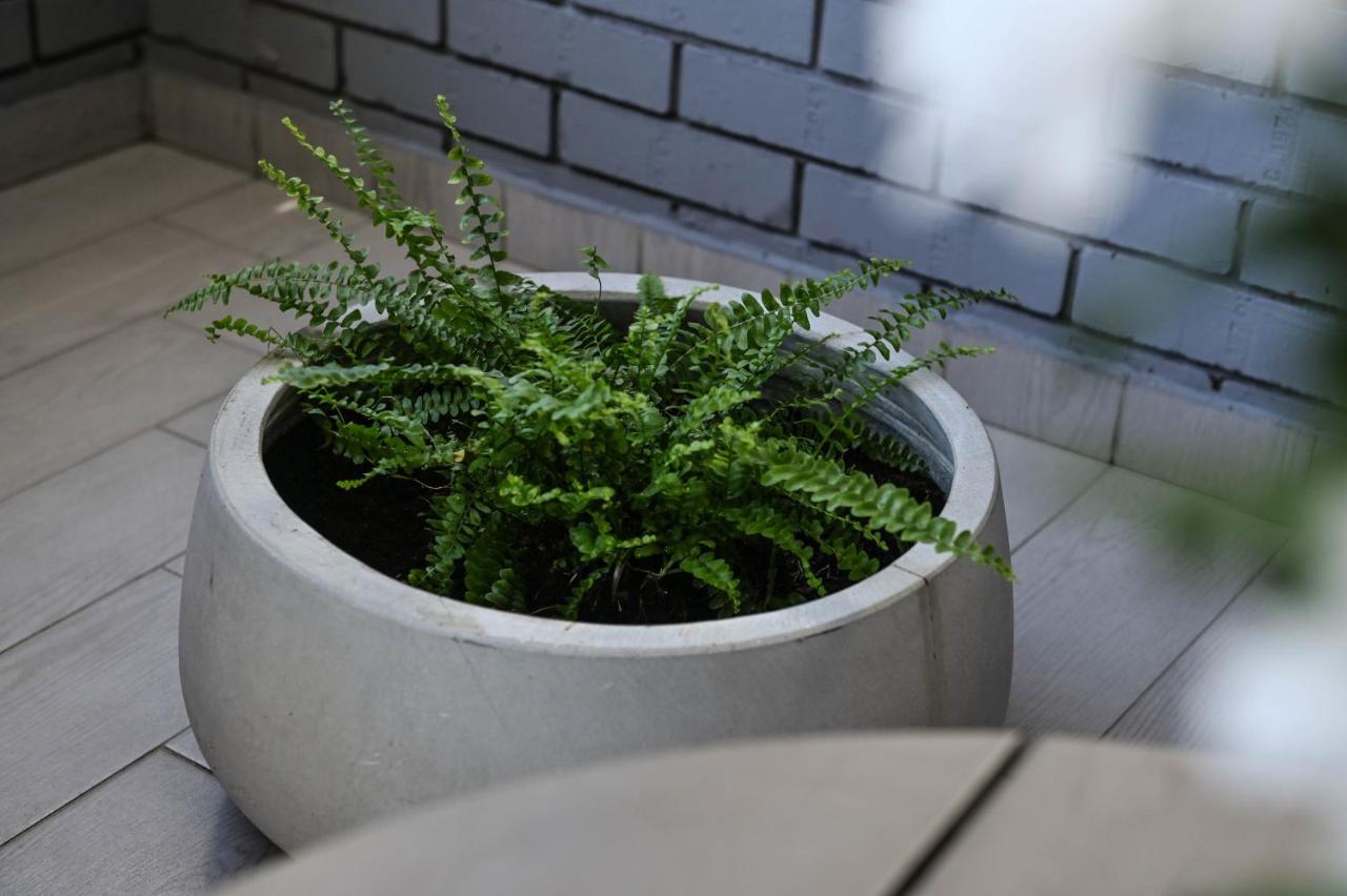 Cozy Apartment Novi Sad Bagian luar foto